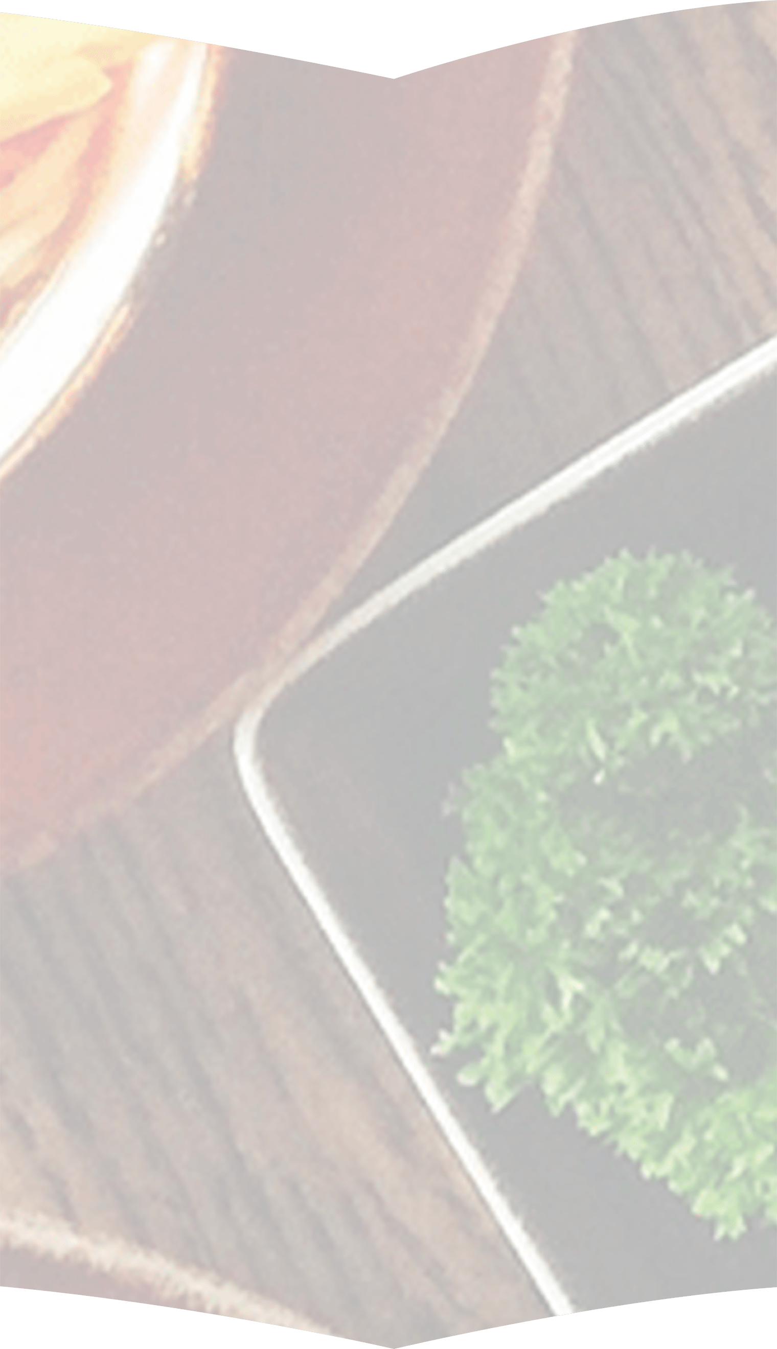 美味しそうな朝食